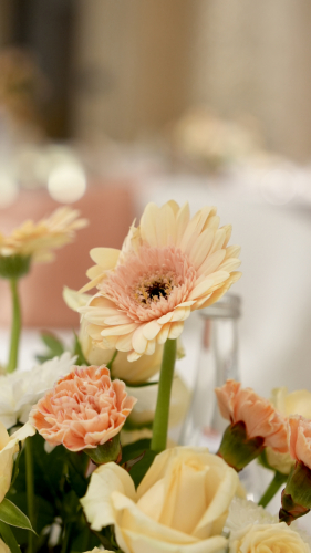 image00013